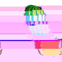 Кактус - Выпуск №116