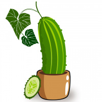 Кактус - Выпуск №76