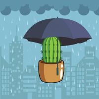 Кактус - Выпуск №104