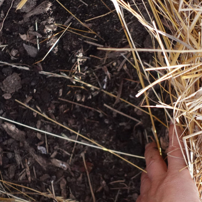 The Permaculture Podcast