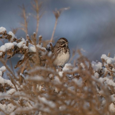 The Permaculture Podcast