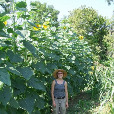 The Permaculture Podcast