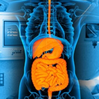 7ma - 04 - Fragmentos de Salud - Gastritis en México