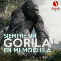 S5 Ep12: Siempre un Gorila en mi mochila