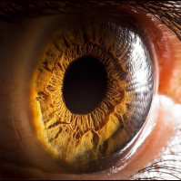 S1 Ep23: Logrando la máxima nitidez 