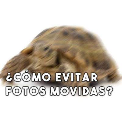 Aprendo Fotografia