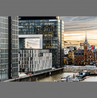 13 - Roundup Desaster