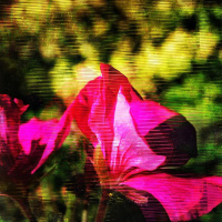 49 - Bibliothek von Babel