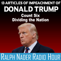 13 Articles of Impeachment of Donald Trump - Count Six: Dividing the Nation