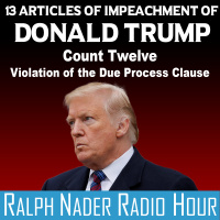 13 Articles of Impeachment of Donald Trump - Count Twelve: Violation of the Due Process Clause