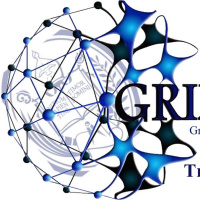 Promo Diplomado Internacional