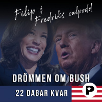 22 dagar kvar: Drömmen om Bush