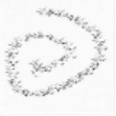 Corrientes Circulares