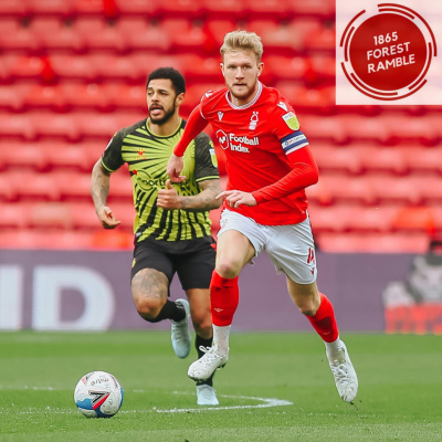 Rich Ferraros Forest Ramble