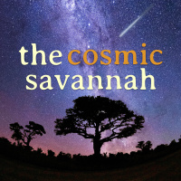 Cosmic Savannah Ep. 70: Season 5 in Review