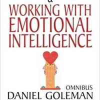 Habilidades perennes - Inteligencia emocional