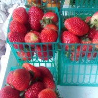 Mindfulness y el gasolinazo