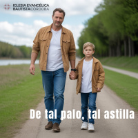 De tal palo, tal astilla - Samuel Sanz