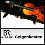 Geigenkasten - Julia Fischers Kolumne