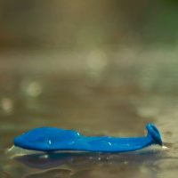 ECB heads for QE exit despite weak inflation