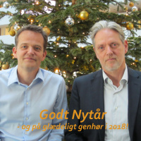 Fra grim ælling til smuk svane – året der gik og 2018-udsigt