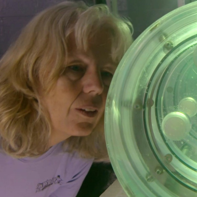 Gulfcast: Dispatches From The Gulf