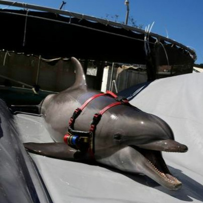 Gulfcast: Dispatches From The Gulf