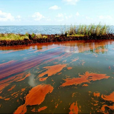 Gulfcast: Dispatches From The Gulf