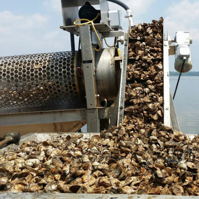 Gulfcast: Dispatches From The Gulf