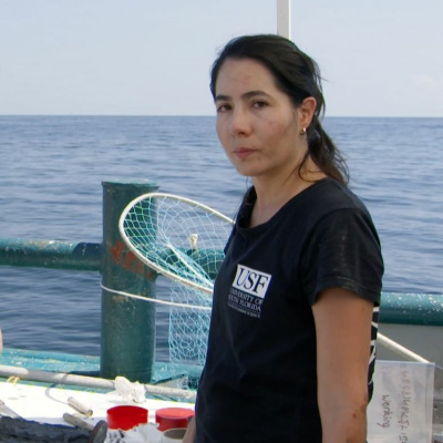 Gulfcast: Dispatches From The Gulf