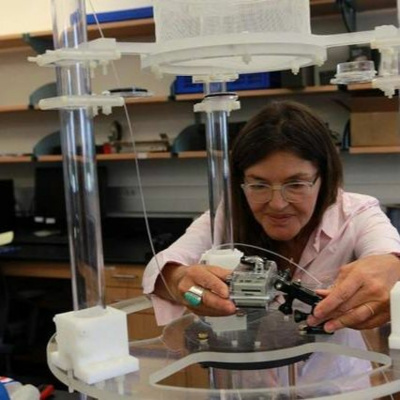 Gulfcast: Dispatches From The Gulf