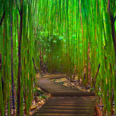 Motivación Con Jairo Orozco | Autoayuda, Desarrollo Personal Y Éxito