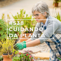 #538 - Cuidando da Planta