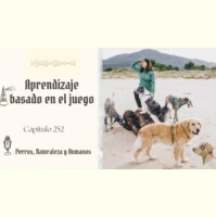 Descubre Como Aprenden Los Perros