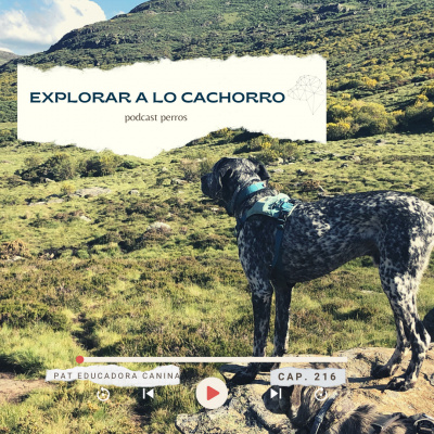Perros
