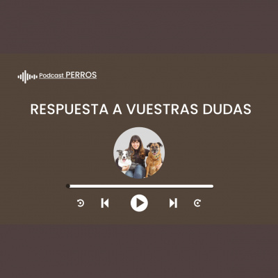 Perros