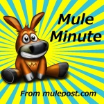 Mule Minute