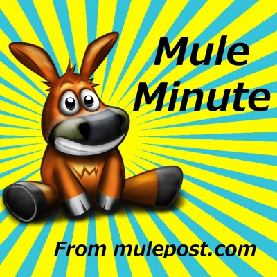 Mule Minute