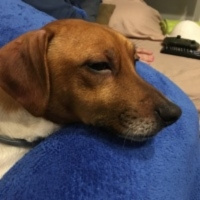 Netflix , novedades y recomendaciones.