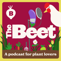 Grow Super Hot Peppers with Jason Tate | The Beet