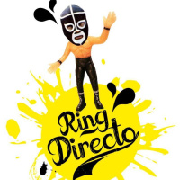 Ringdirecto 2017