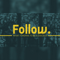 Follow - Pack Leaders