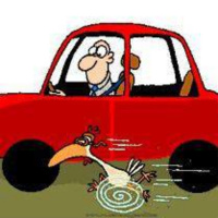 16 El pollito de tres patas 160528 