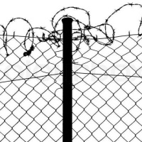 56 - Lo más importante de la cuarta Junta Fiscal y de las órdenes de Trump -ECONOMIA 101 - 28 DE ENERO DE 2017