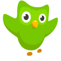 App review 1: Duolingo vs Rosetta Stone - by Álvaro Ortiz