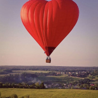 Episode 51: A Whole Lotta Love