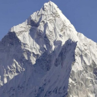 *Extra - Celebrities Everett Golson