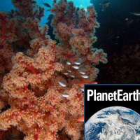 Cold water corals, meteorites, new greenhouse gases