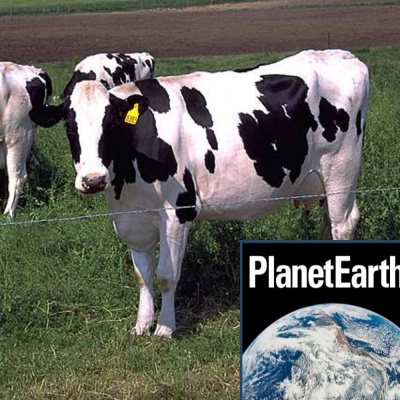 Planet Earth