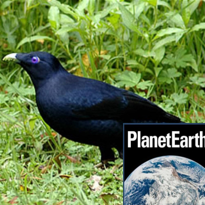 Planet Earth